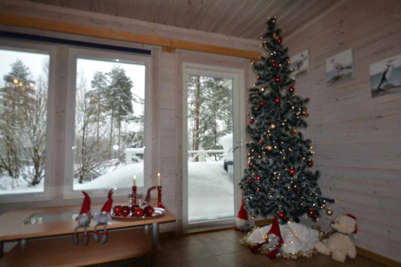 Valentin Cottage Enonkoski Kültér fotó