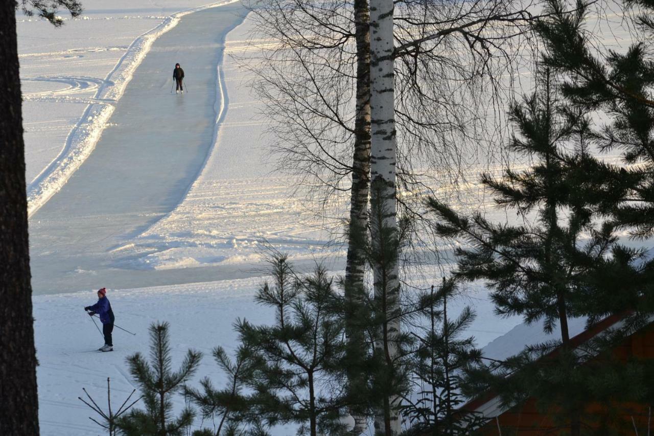 Valentin Cottage Enonkoski Kültér fotó