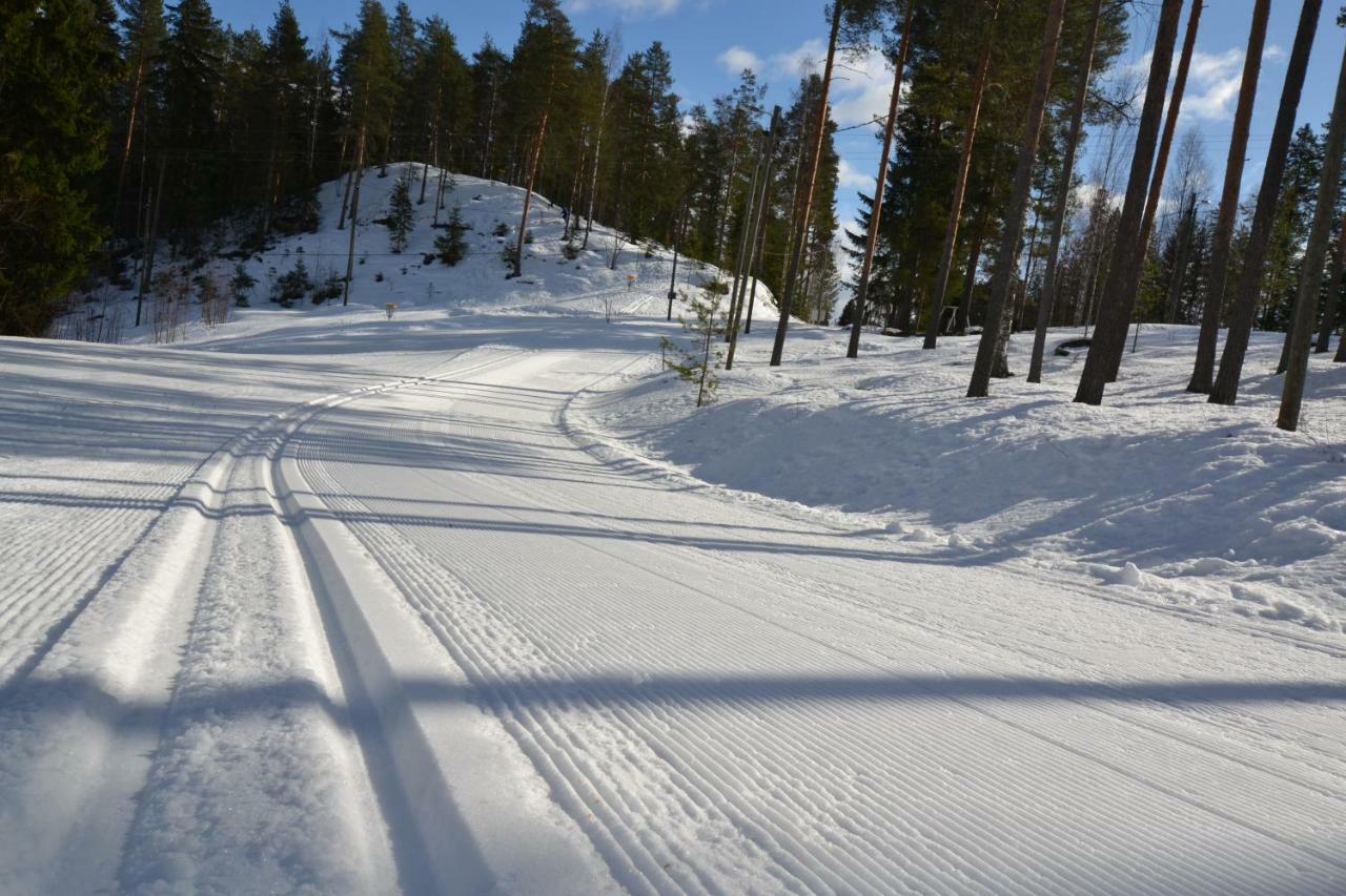 Valentin Cottage Enonkoski Kültér fotó