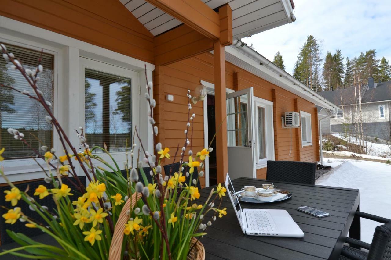 Valentin Cottage Enonkoski Kültér fotó